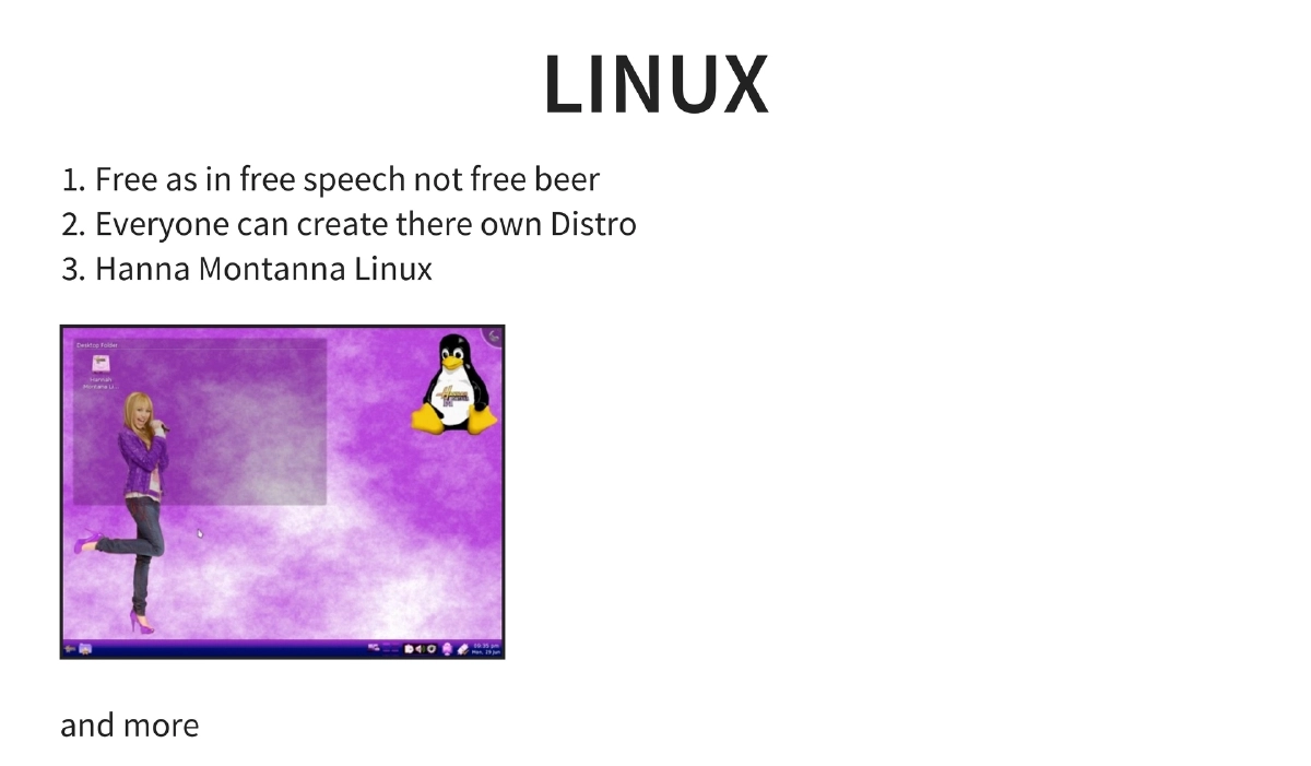 Slide 5 of Null Puliya Linux